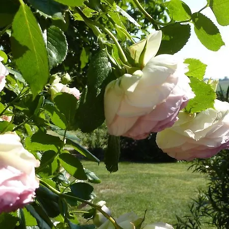 Panzió D'hotes La Treille