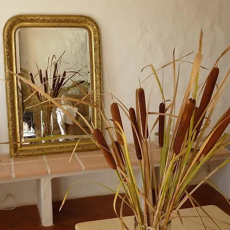 D'hotes La Treille Bed & Breakfast Ligardes