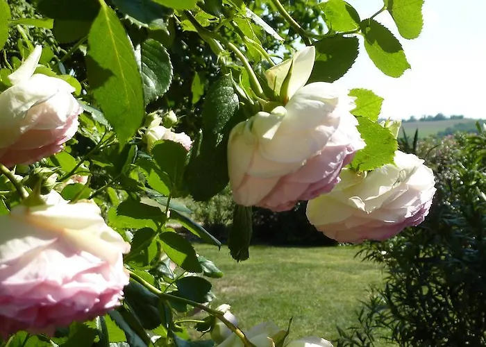 Bed & Breakfast D'hotes La Treille